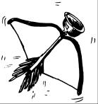 Picture of Robin's first bow.